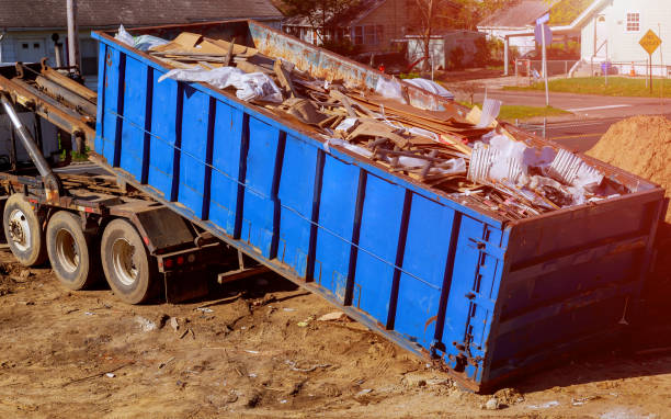 Shed Removal